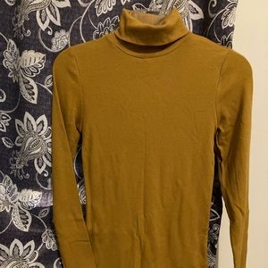 Turtle Neck